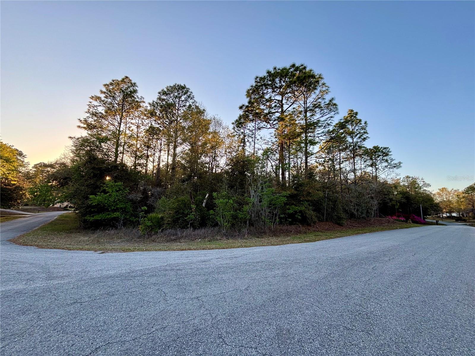 WELCOME TO THE WOODLANDS AT RAINBOW SPRINGS. This 1.43 acre lot is the perfect setting to build your next home in a very serene environment. This premium, oversized lot, sits on the corner of a culdesac and is beautifully wooded. This is truly an impressive lot to build your future dream home. Rainbow Springs amenities include a community center with a swimming pool, pickle ball courts, tennis, basketball, disc golf, driving range, bocce ball, a gym, card rooms and a billiard room. Our crown jewel of the community is our private river park, exclusive to residents. The park is approximately three acres and sits just South of the Rainbow Spring State Park. The park has two large pavilions, bbq grills, two bathrooms, outdoor shower, private swimming area and kayak/canoe launch. Whether you are planning to build soon, or in the near future, this ideal location places you at the doorsteps of small town living. Ocala is just a 30 minute drive and Gainesville is less than an hour. Come and see this beautiful lot and community.