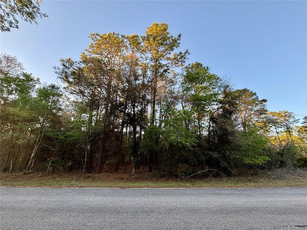 Photo of 33 SW 97 Place, Dunnellon, FL 34431 (MLS # OM697254)