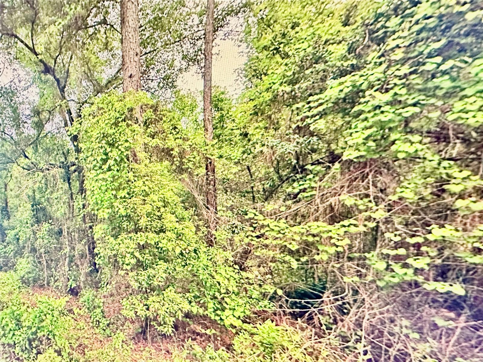 ST JOHNS RIVERSIDE ESTATES - Land