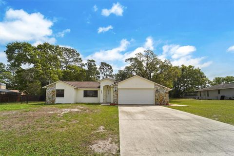1250 FINLAND DRIVE SPRING HILL FL 34609