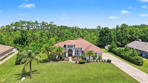 6218 BRIDLEFORD DRIVE WESLEY CHAPEL FL 33545