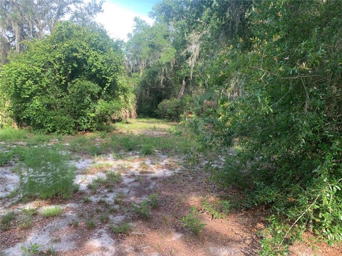 Tiny photo for 3113 Bright Lake Circle, Groveland, FL 34736 (MLS # G5114016)