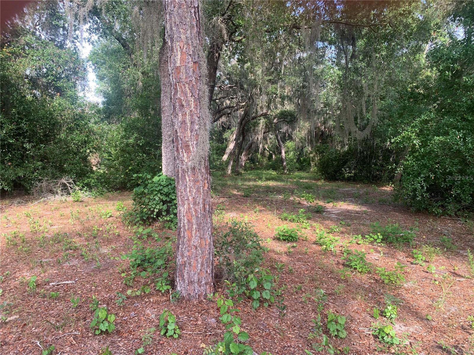 3113 BRIGHT LAKE CIRCLE