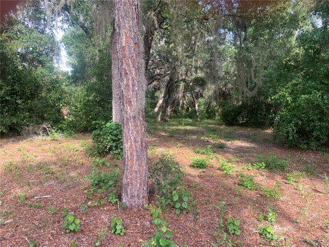 Tiny photo for 3113 Bright Lake Circle, Groveland, FL 34736 (MLS # G5114016)