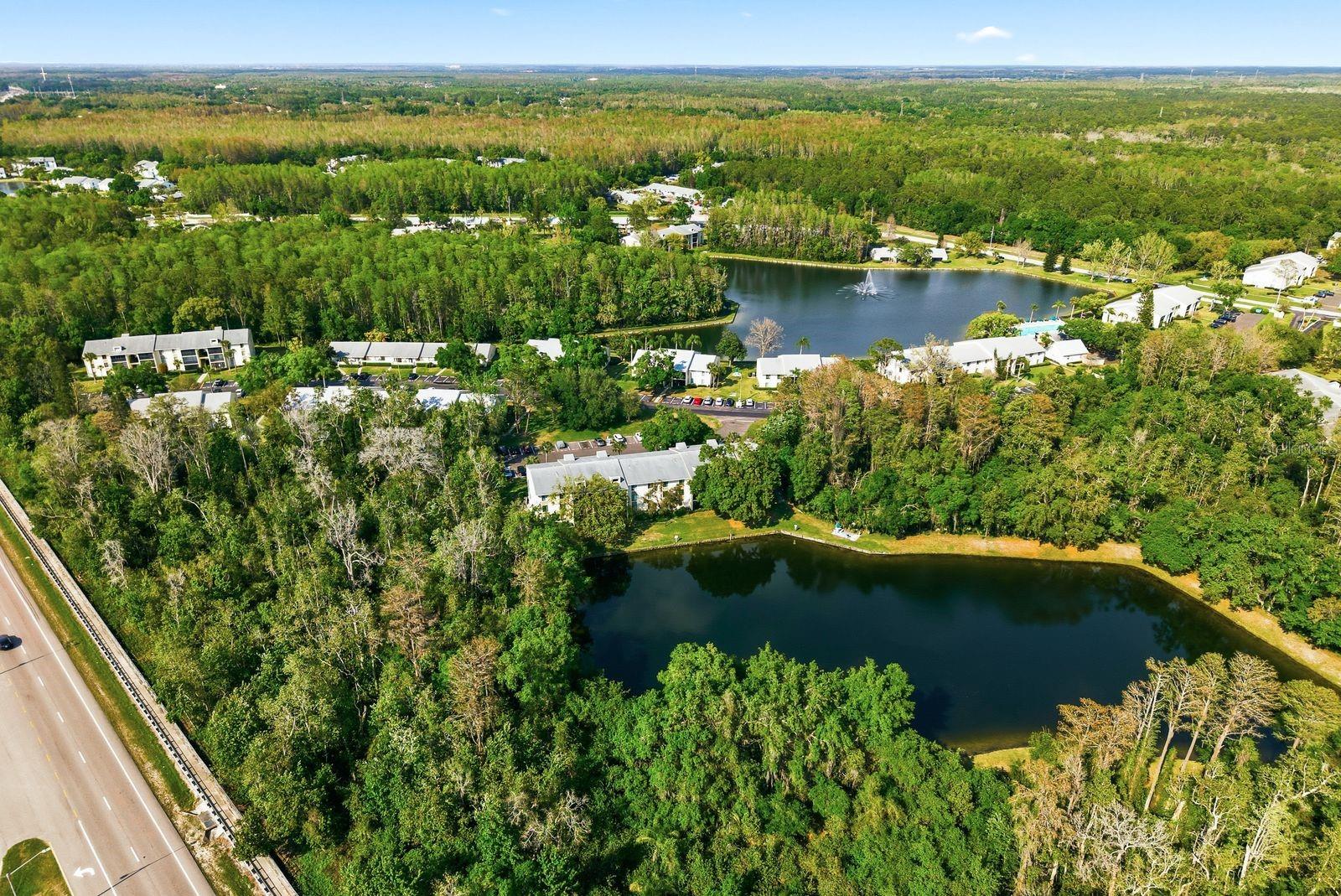 PINE RIDGE AT LAKE TARPON VILLAGE - Residential