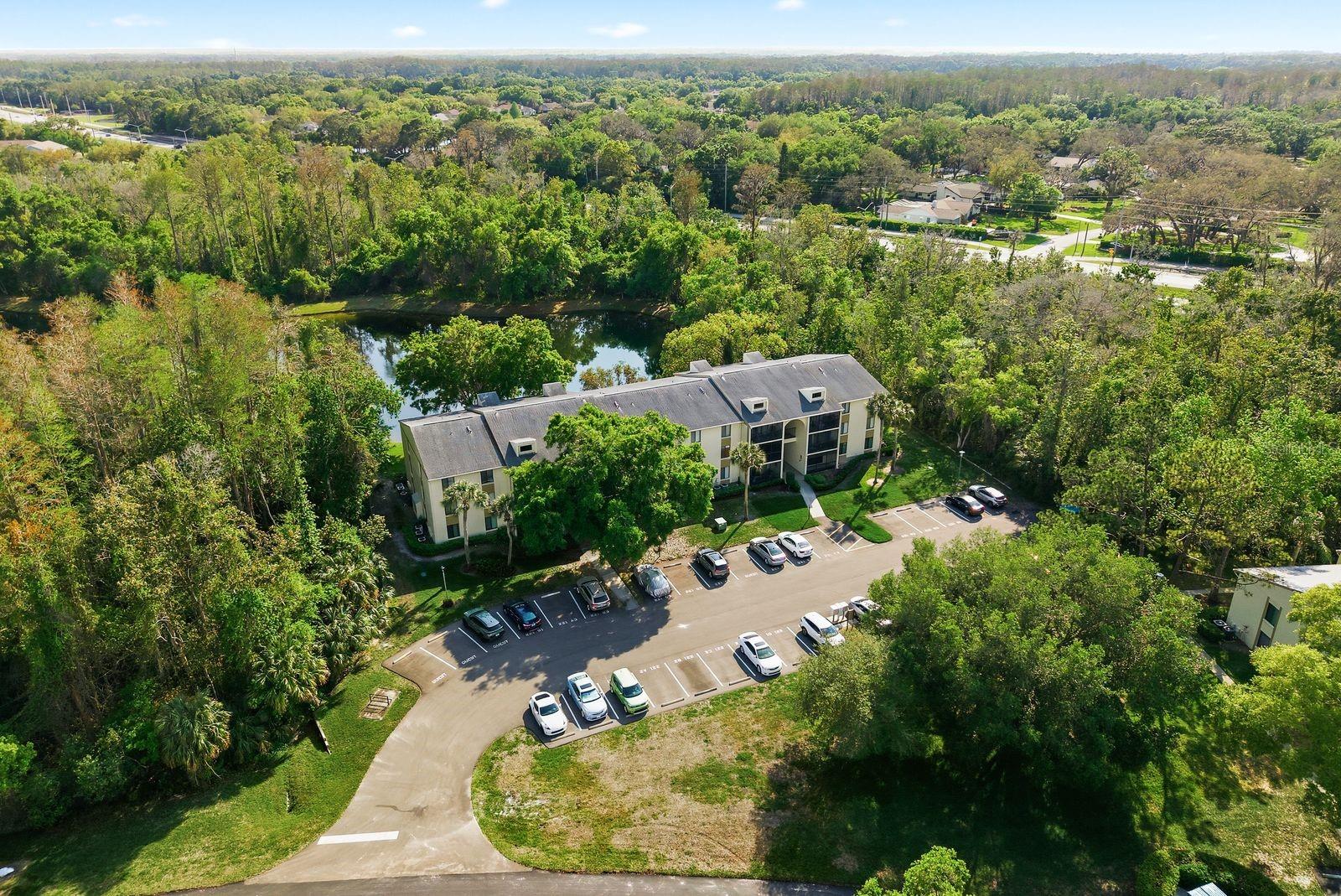 PINE RIDGE AT LAKE TARPON VILLAGE - Residential