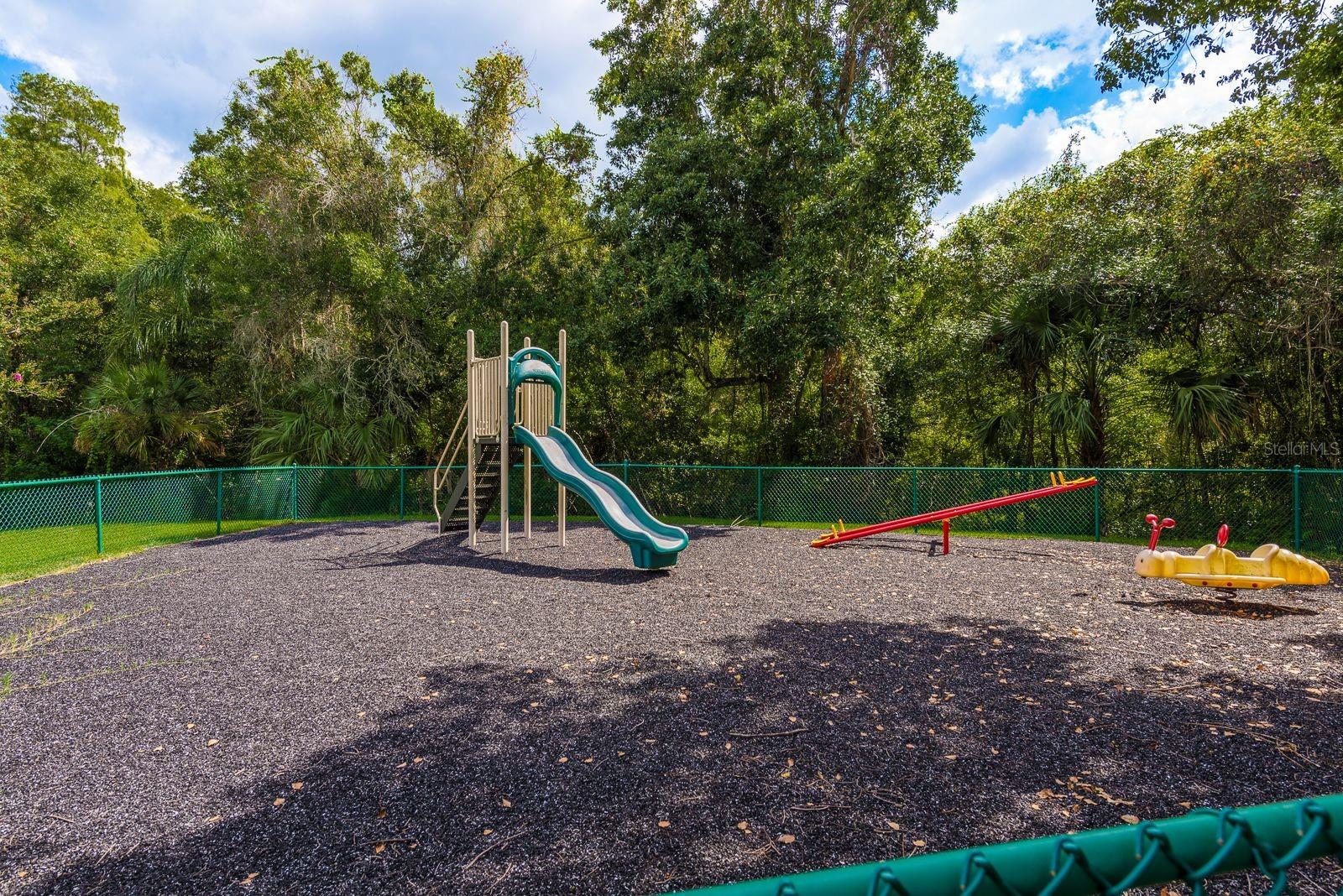 PINE RIDGE AT LAKE TARPON VILLAGE - Residential