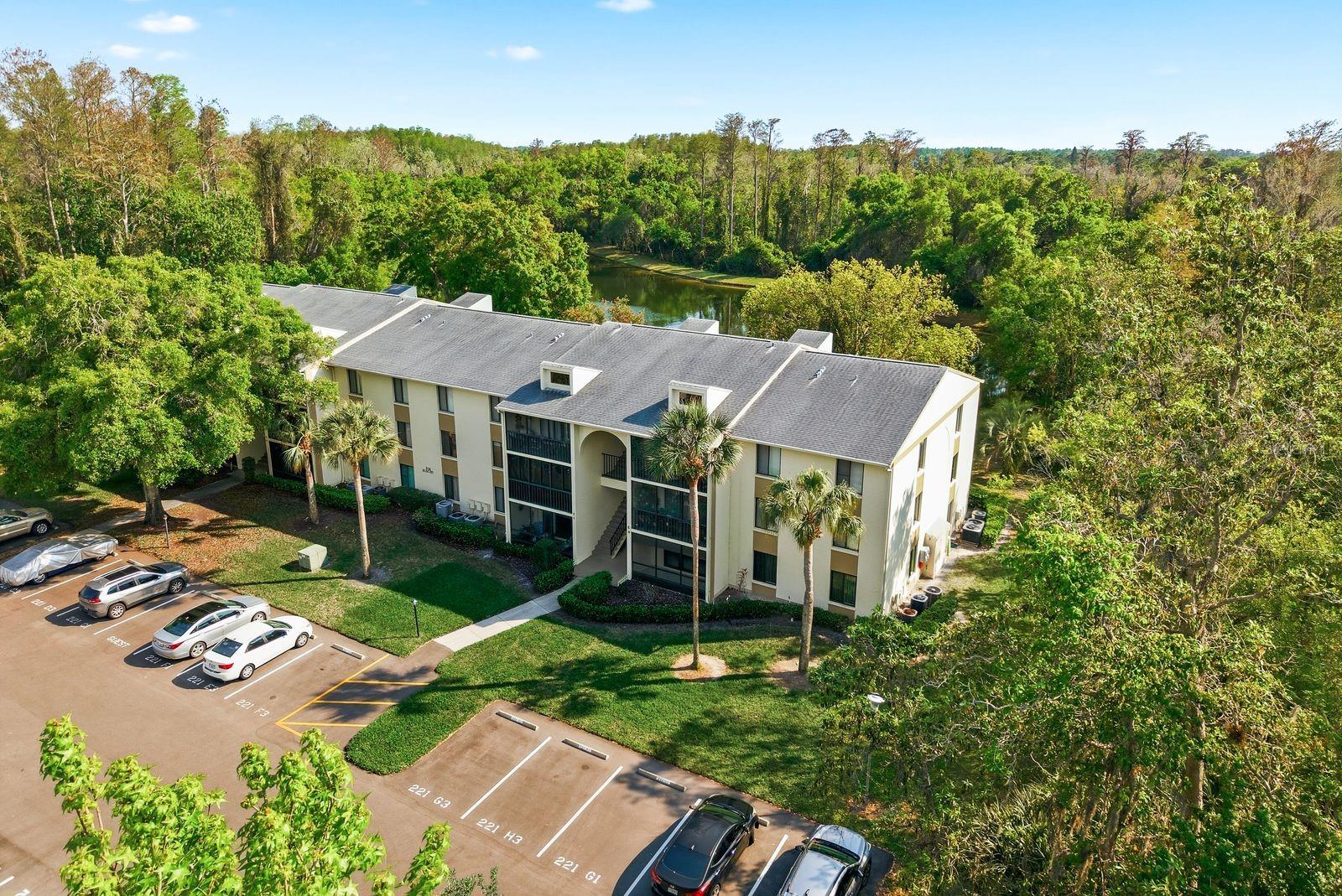 PINE RIDGE AT LAKE TARPON VILLAGE - Residential