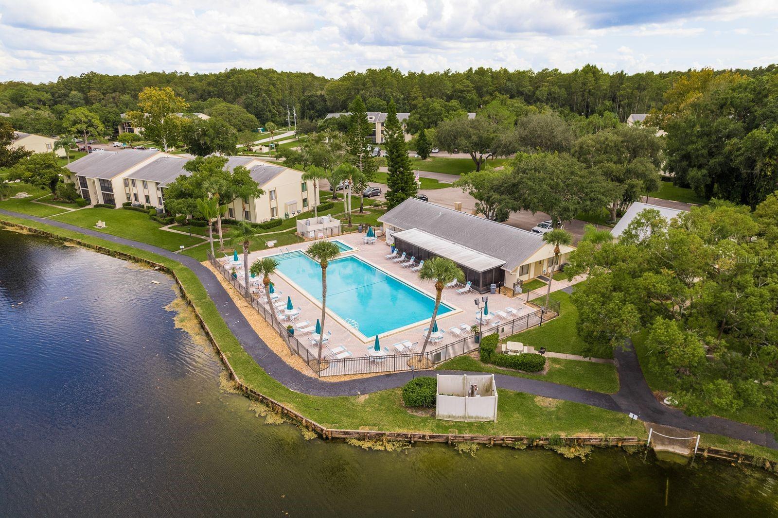 PINE RIDGE AT LAKE TARPON VILLAGE - Residential