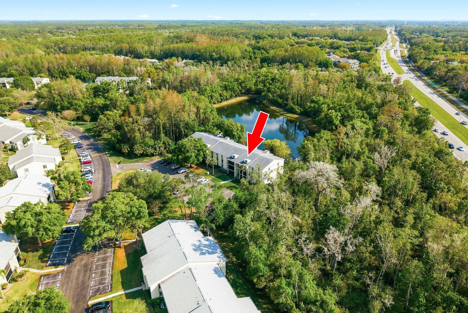 PINE RIDGE AT LAKE TARPON VILLAGE - Residential