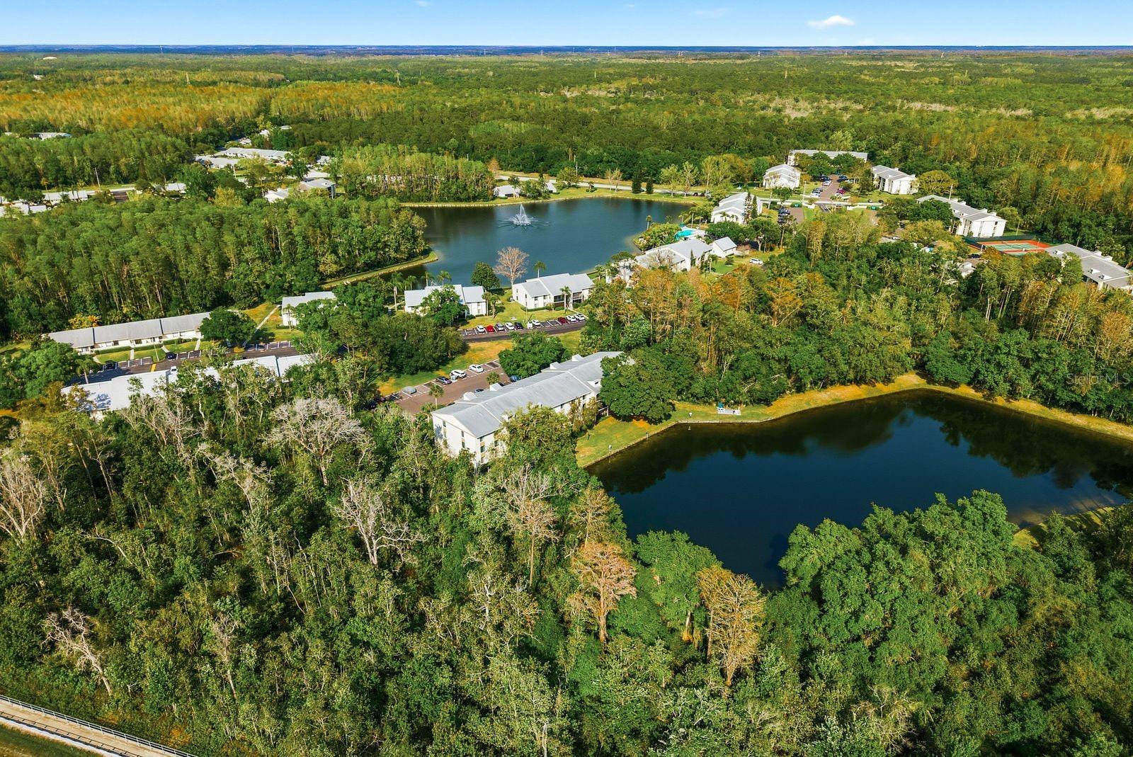 PINE RIDGE AT LAKE TARPON VILLAGE - Residential