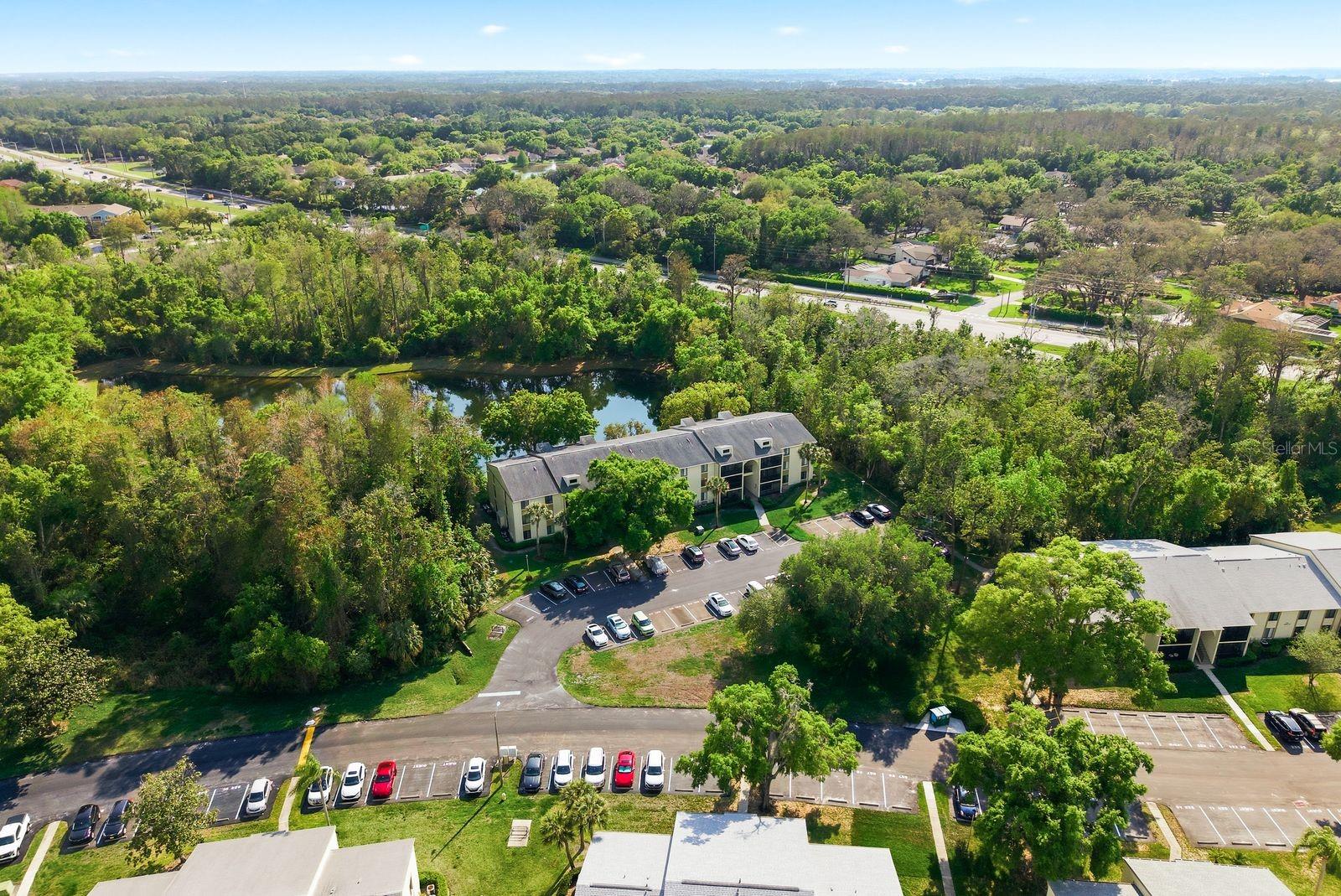 PINE RIDGE AT LAKE TARPON VILLAGE - Residential