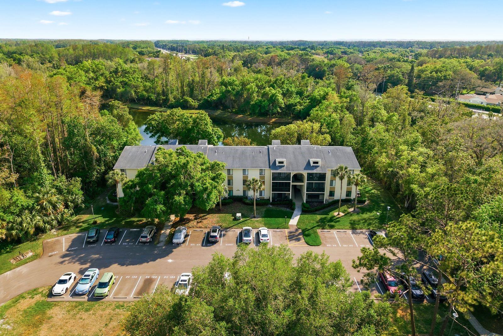 PINE RIDGE AT LAKE TARPON VILLAGE - Residential