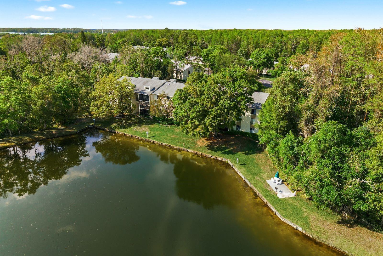 PINE RIDGE AT LAKE TARPON VILLAGE - Residential