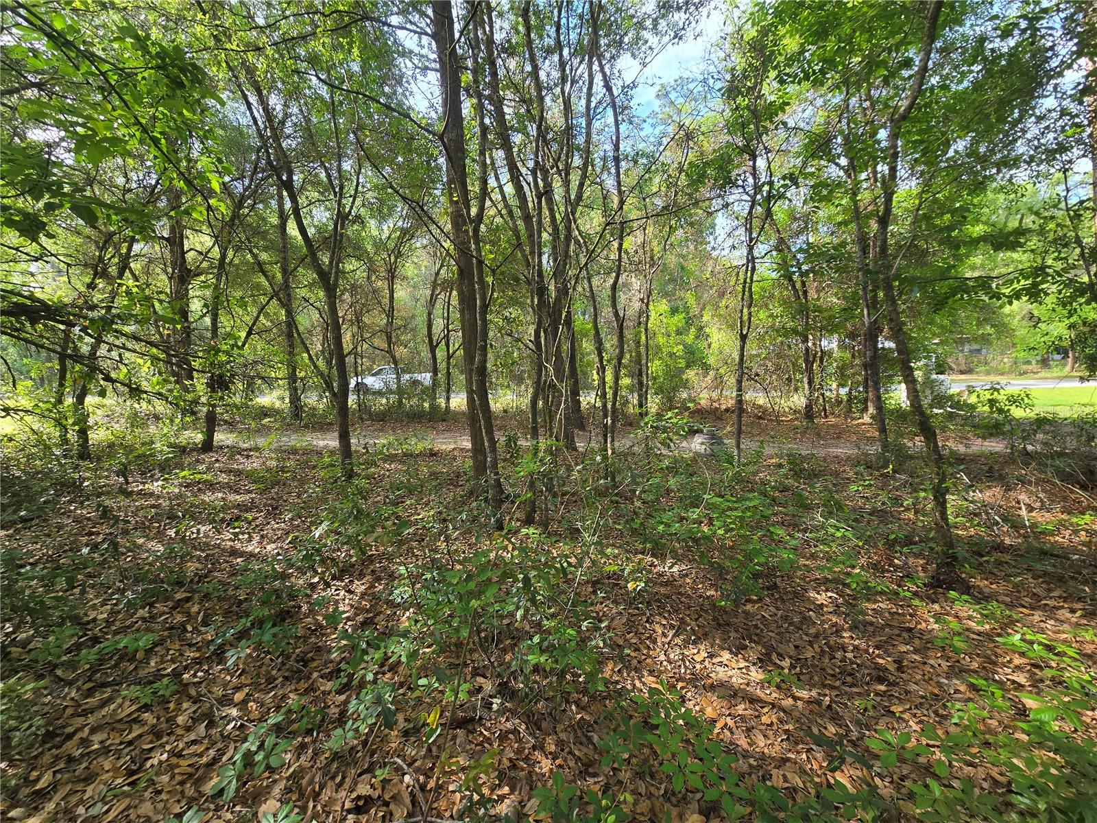 6659 E GRAYSON STREET