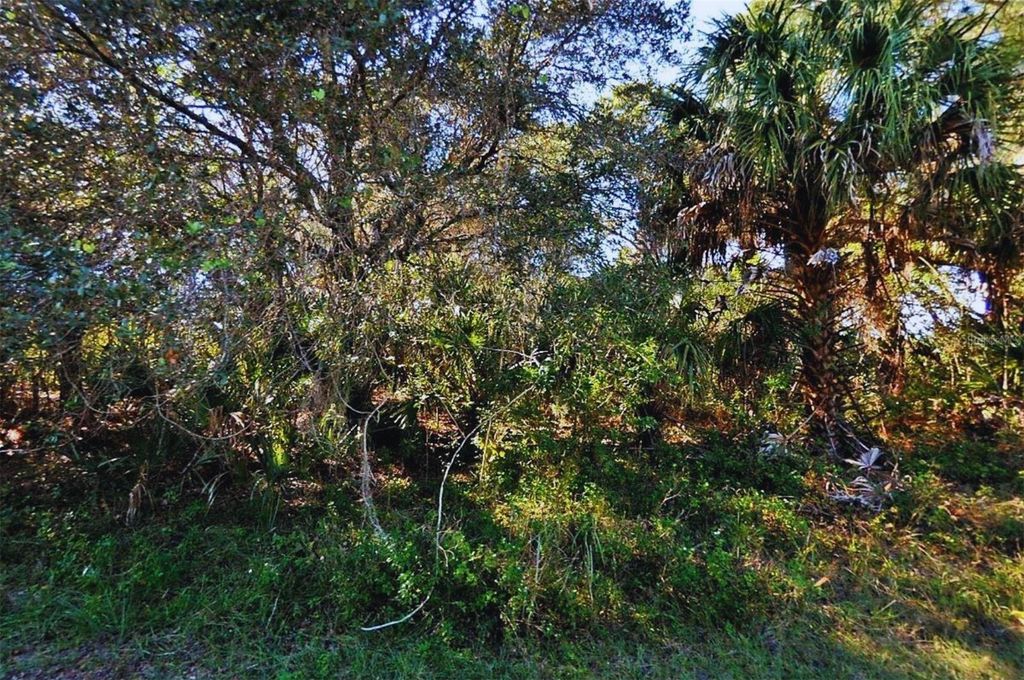 Photo of Fafton Street, North Port, FL 34288 (MLS # A4686391)