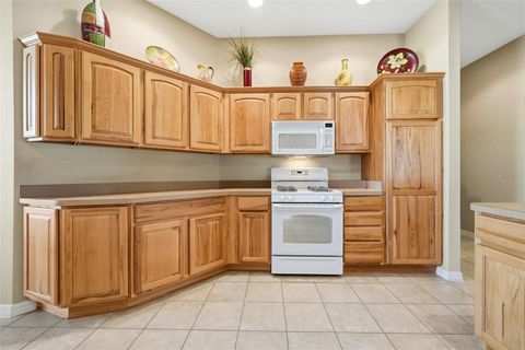 Tiny photo for 701 Cordova Circle, The Villages, FL 32162 (MLS # G5107462)