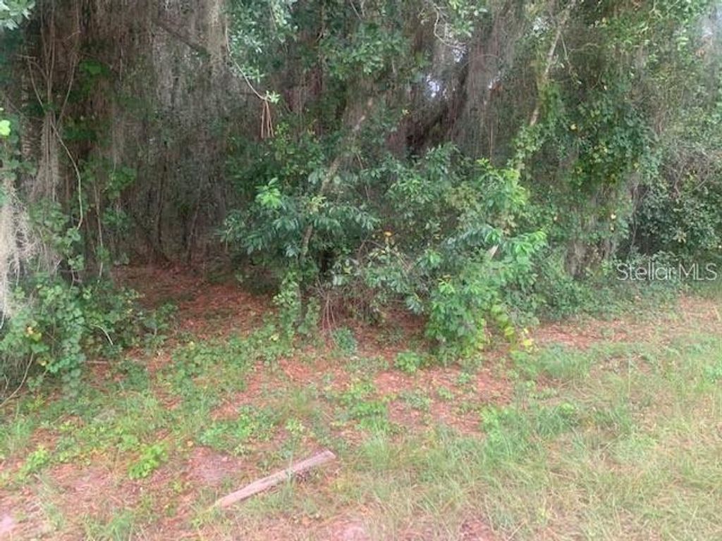 Photo of Groveland, FL 34736 (MLS # S5145369)