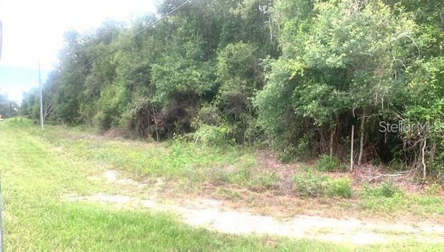 This is the lot you were looking for!!!! NO HOA!!!! This lot will make a beautiful home site. Prime location, within 15 minutes from Florida Turnpike, 30 minutes to Orlando, shopping centers, supermarkets, and schools all nearby. Bring your own builder and design your forever home!!!!