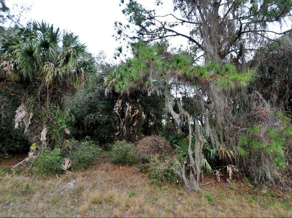 Photo of Constitution Drive, North Port, FL 34291 (MLS # O6185775)