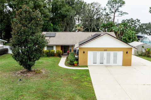 Photo of 4242 Cactus Lane, Mount Dora, FL 32757 (MLS # G5105359)