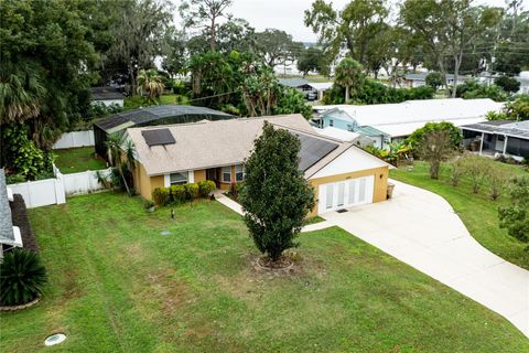Photo of 4242 Cactus Lane, Mount Dora, FL 32757 (MLS # G5105359)