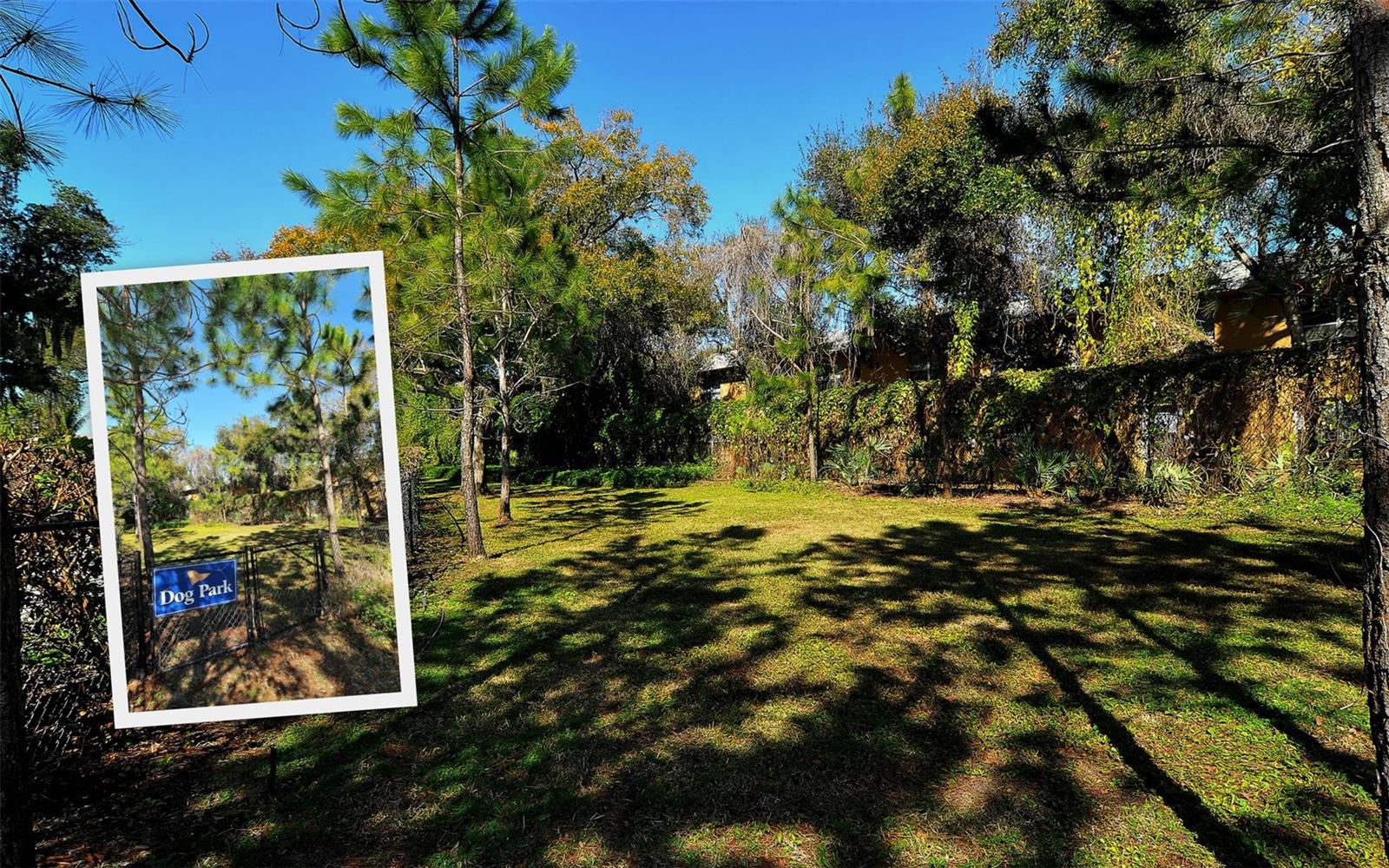 PHILLIPPI LANDINGS - Residential