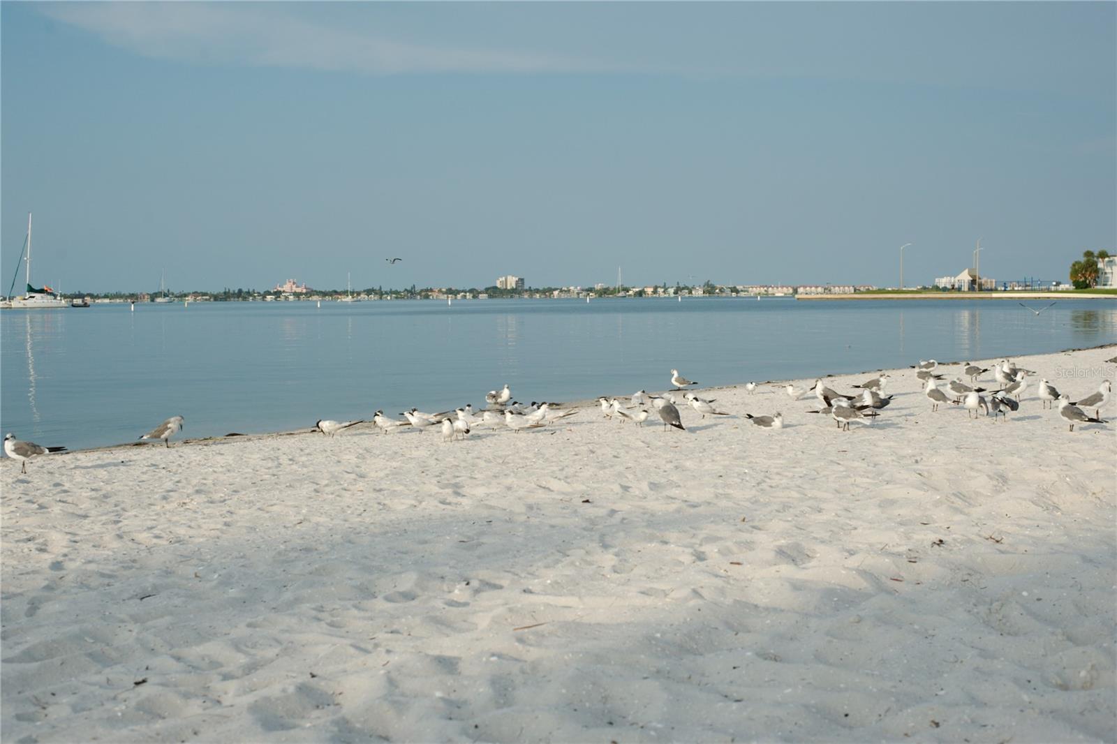 ARDMORE HEIGHTS - Residential