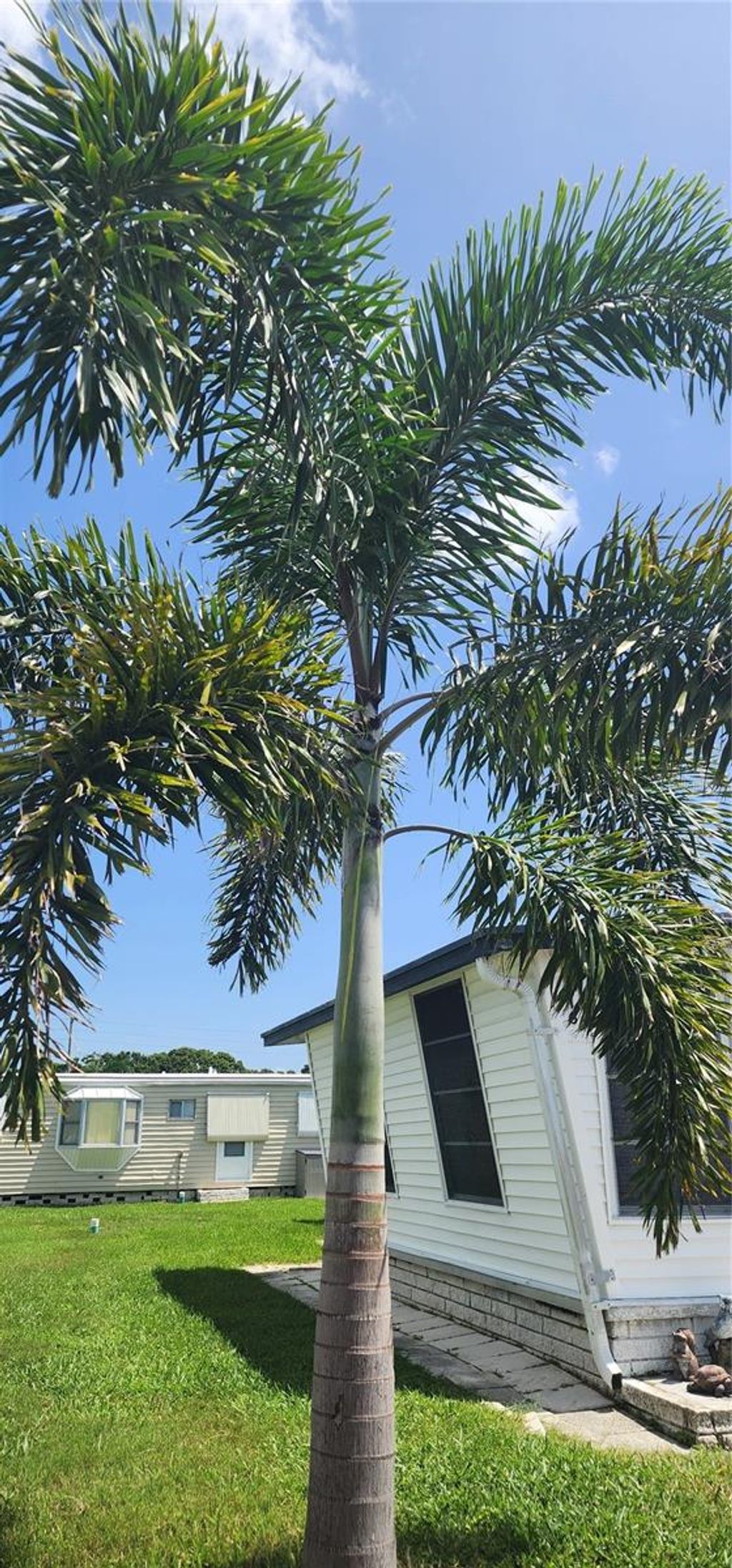 Photo of 11200 Walsingham Road #76, Largo, FL 33778 (MLS # TB8411468)