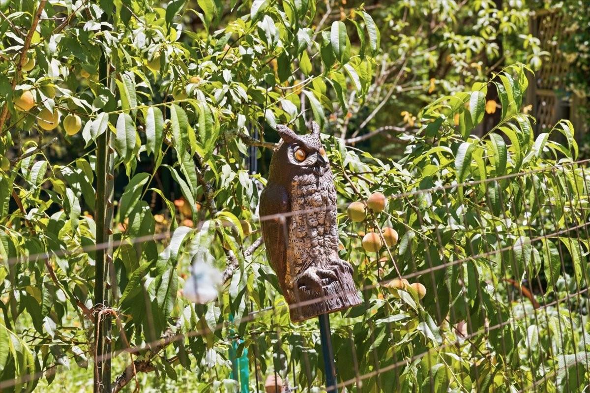 NOT IN SUBDIVISION - Residential