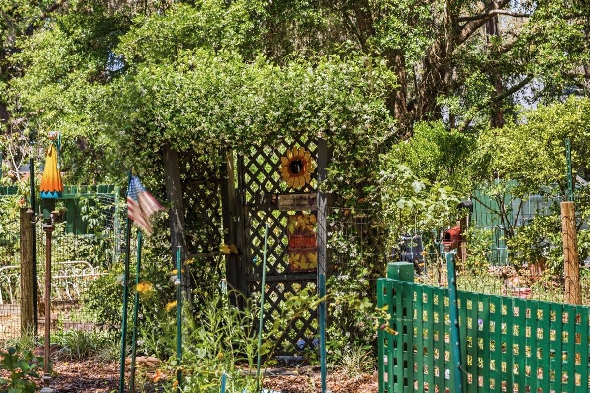 NOT IN SUBDIVISION - Residential