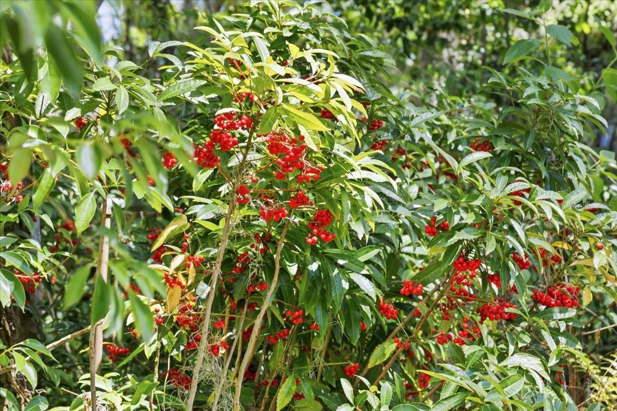 NOT IN SUBDIVISION - Residential