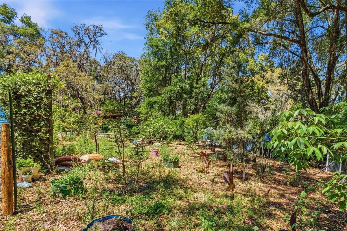 NOT IN SUBDIVISION - Residential