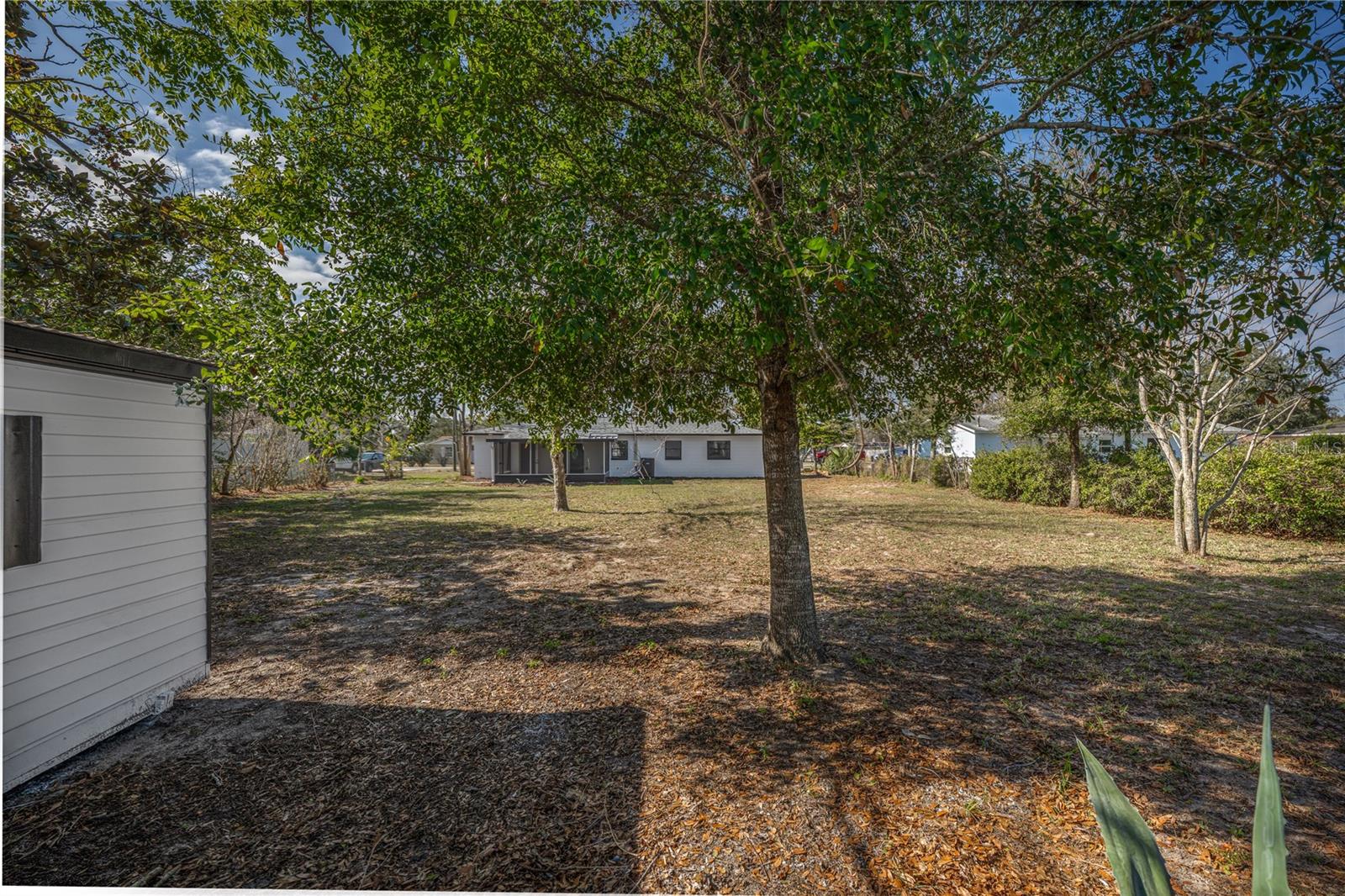 FRUITLAND PARK ZEPHYR LAKE ESTATES - Residential