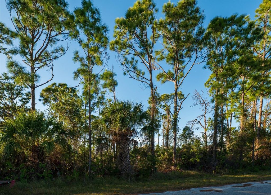 Photo of 8281 Dimstead St. St, Port Charlotte, FL 33981 (MLS # C7520707)