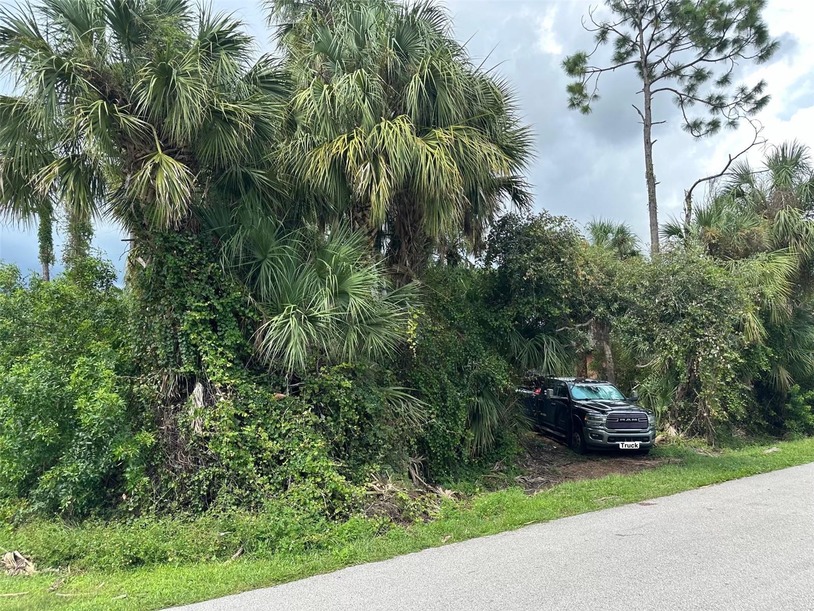GREAT LOT located in prime location!!!!Discover the perfect opportunity to own a piece of North Port, FL, in the heart of a rapidly expanding area. Great vacant lot near famous Warm Mineral Spring Lake, a local gem, Wallen Park downtown area and the highly anticipated new Costco store. Great opportunity to buy and build in the heart of fast growing area of North Port, FL. This property is perfectly situated near shopping centers, a variety of dining options, beautiful parks, stunning beaches, and world-class golf courses. Easy access to U.S 41 and Interstate 75 for smooth commuting and travel. Enjoy the freedom of no HOA, Deed Restrictions, or CDD fees, making it an ideal canvas for your dreams. Don't let this incredible property pass you by. Seize the moment to invest in this exceptional opportunity. Your dream home or investment project awaits!