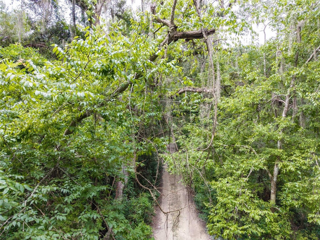 Photo of SW 57th Rd, Gainesville, FL 32608 (MLS # GC543111)