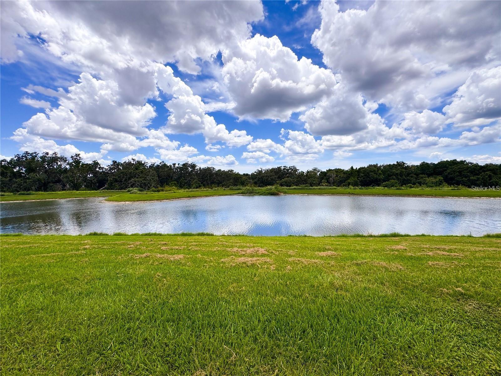 CARLTON LAKES WEST PH 2B - Residential