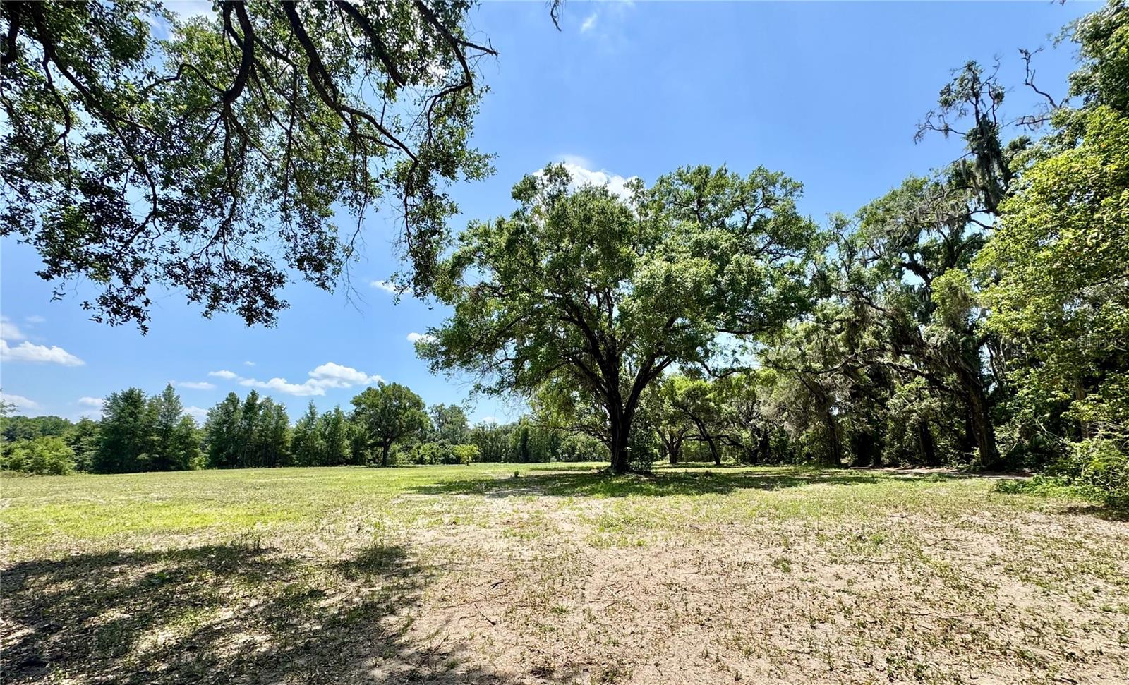 Welcome to your private 7.6-acre retreat in the heart of Ocala. This beautiful property has just been cleared and newly seeded with lush grass, offering an open, ready-to-build canvas surrounded by gorgeous mature oaks. An existing well and septic are already in place, and an updated survey is available, making it even easier to bring your vision to life. Whether you dream of a custom home, a small farm, or a quiet countryside getaway, this land provides the space and setting to create something truly special. Enjoy the peace and privacy of rural living while still being conveniently close to major roads, shopping, and amenities. Properties like this are rare — don’t miss your chance to own a stunning piece of Ocala’s countryside at an unbeatable value.