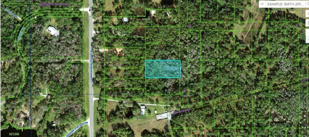 Photo of Commonwealth Ave N, Polk City, FL 33868 (MLS # O6264390)
