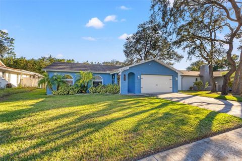 A home in TARPON SPRINGS