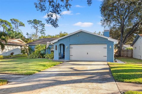 A home in TARPON SPRINGS