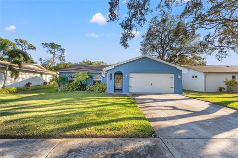 A home in TARPON SPRINGS