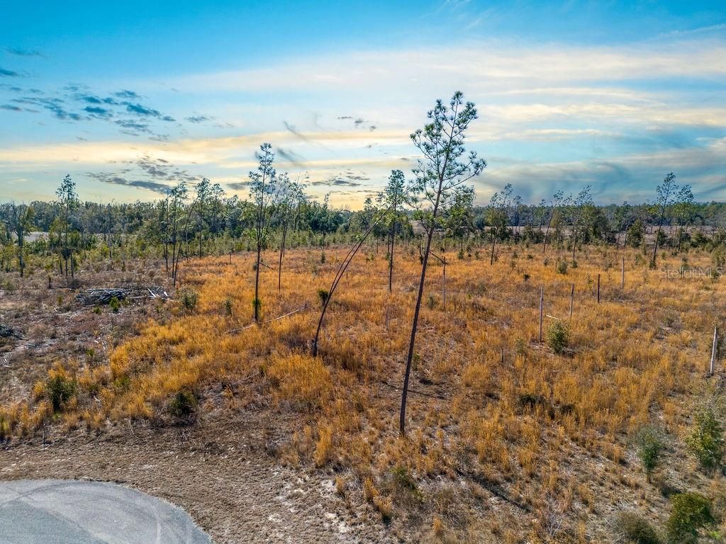 Photo of Tbd 211th Court, Live Oak, FL 32060 (MLS # GC537275)