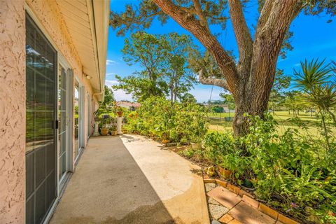 A home in PALM HARBOR