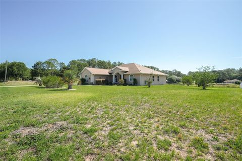 Tiny photo for 4625 N Apple Valley Avenue, Beverly Hills, FL 34465 (MLS # OM725125)