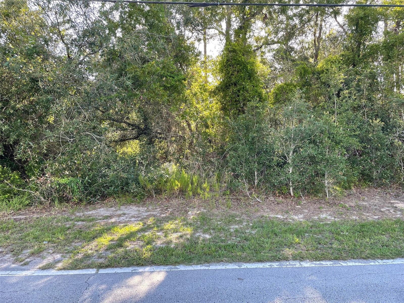 This beautiful vacant property is the perfect opportunity to build your dream home. This lot is just shy of a half acre in the beautiful community of Royal Highlands. No HOA, no CDD. Just minutes away from the best Hernando County has to offer. The roads to this property are all paved. You can enjoy the convenience of restaurants and shopping nearby while living in a tranquil living experience. Don't miss the chance to invest in this property. Come take a look at this today!