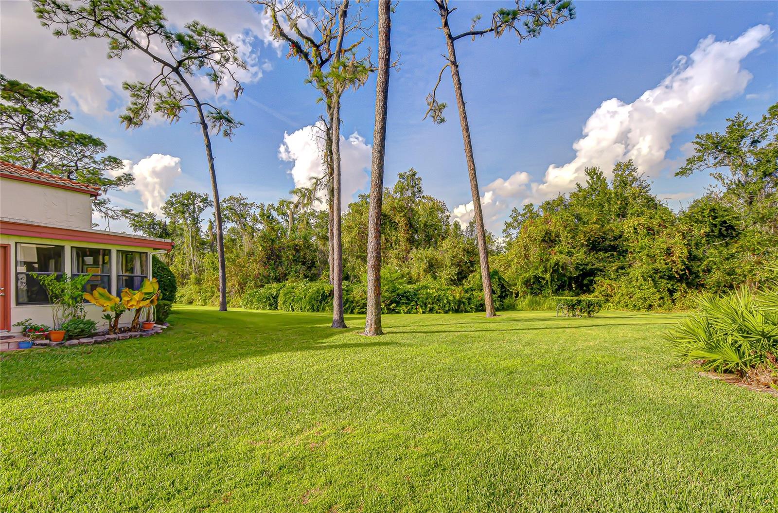 SADDLEBROOK - Residential