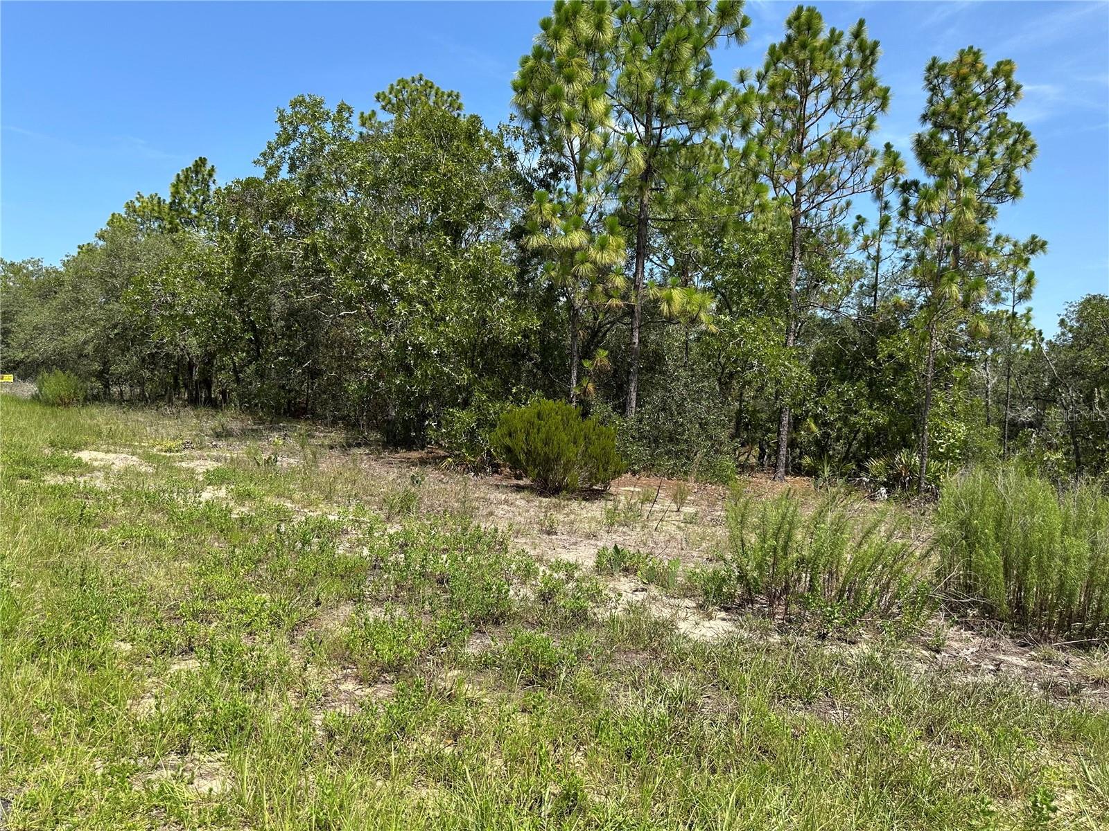 GREAT LOT IN CITRUS SPRINGS! .30 Acre lot. Looking to build that dream home, go take a look at this one.
