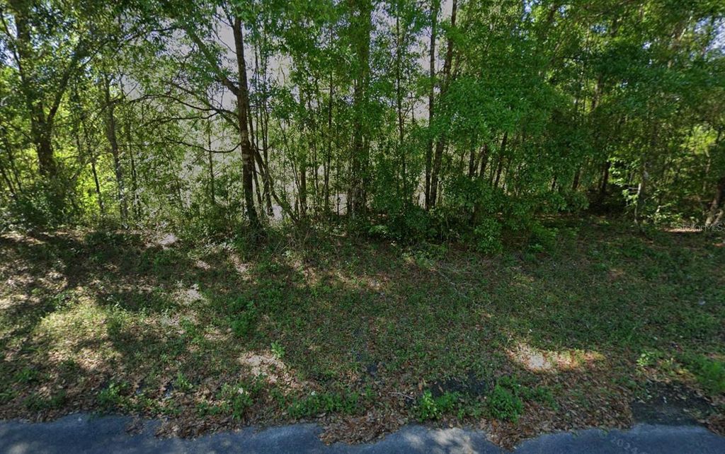 Photo of 212 Dolphin Circle, Middleburg, FL 32068 (MLS # K4903343)